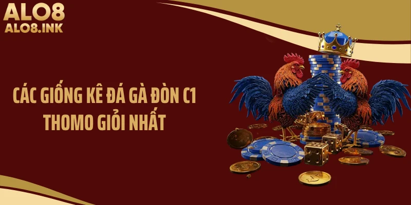 Các giống kê đá gà đòn C1 Thomo giỏi nhất